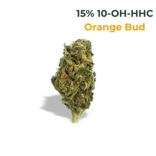 10-OH-HHC Blüte Orange Bud - 15% 10-OH-HHC