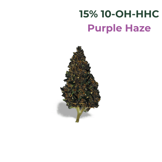 10-OH-HHC Blüte Purple Haze - 15% 10-OH-HHC