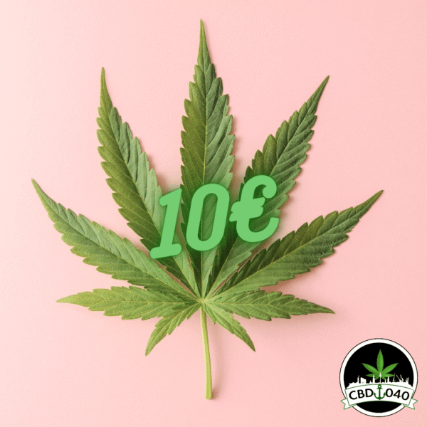 Geschenkgutschein CBD 040 – Das perfekte Geschenk für jeden Anlass