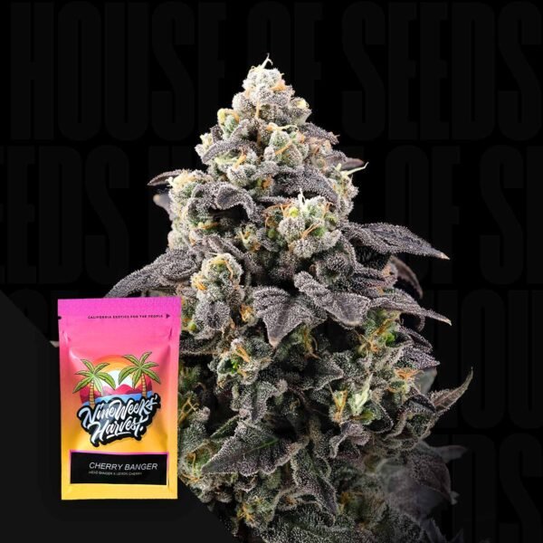 Cherry Banger