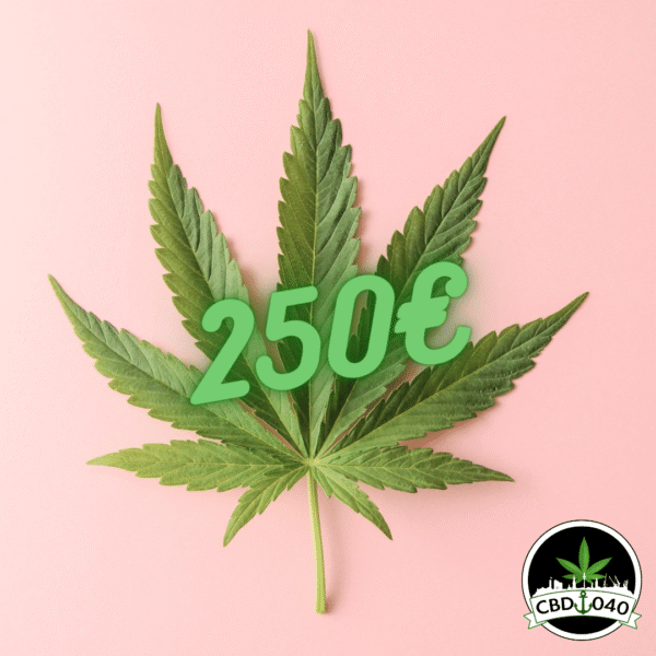 Geschenkgutschein CBD 040 – Das perfekte Geschenk für jeden Anlass