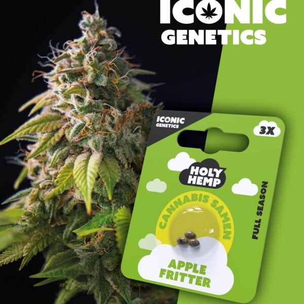 Apple Fritter - Iconic Seeds