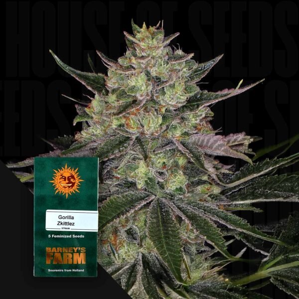 Gorilla Zkittlez