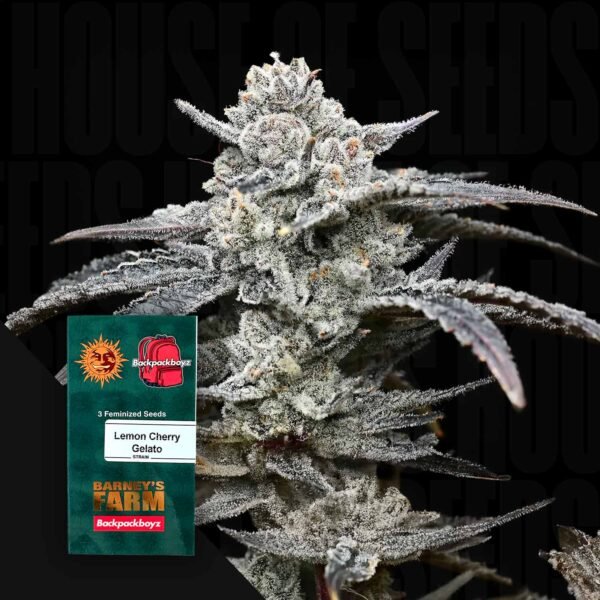Lemon Cherry Gelato