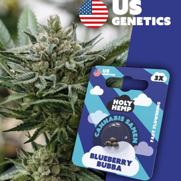 Blueberry Bubba - Cali Seeds