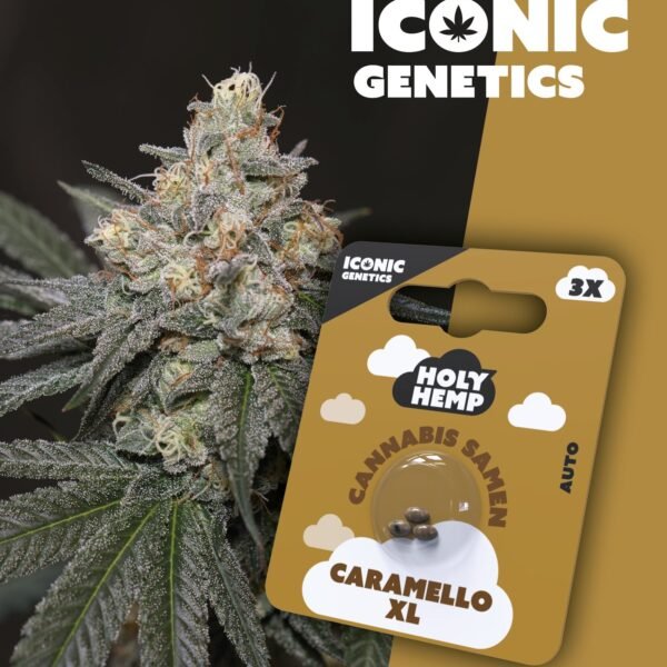 Caramello XL - Iconic Seeds
