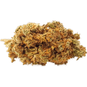 Cheese Haze CBD Blüten Indoor