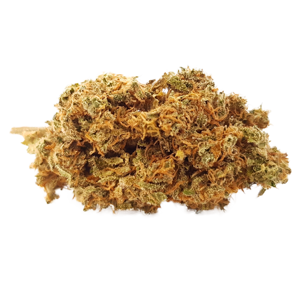 Cheese Haze CBD Blüten Indoor