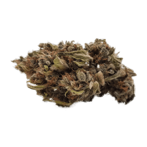 Caramel CBD Blüten Indoor