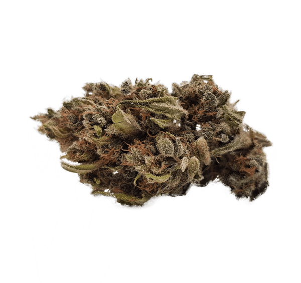 Caramel CBD Blüten Indoor