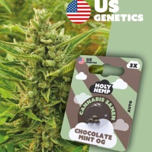 Chocolate Mint OG - Cali Seeds