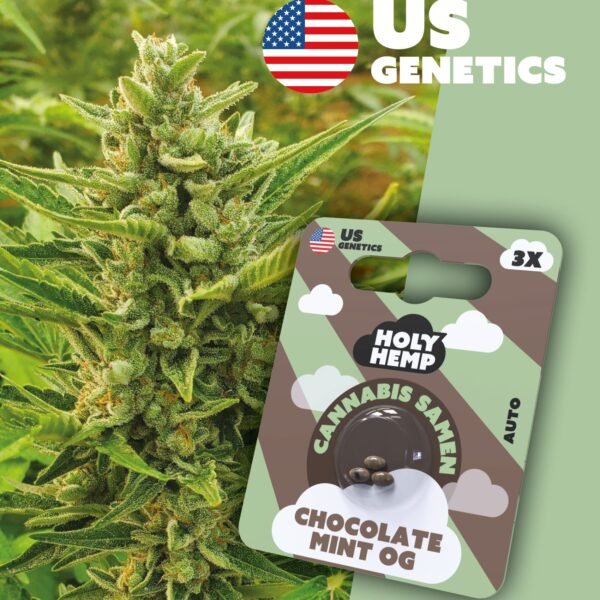 Chocolate Mint OG - Cali Seeds