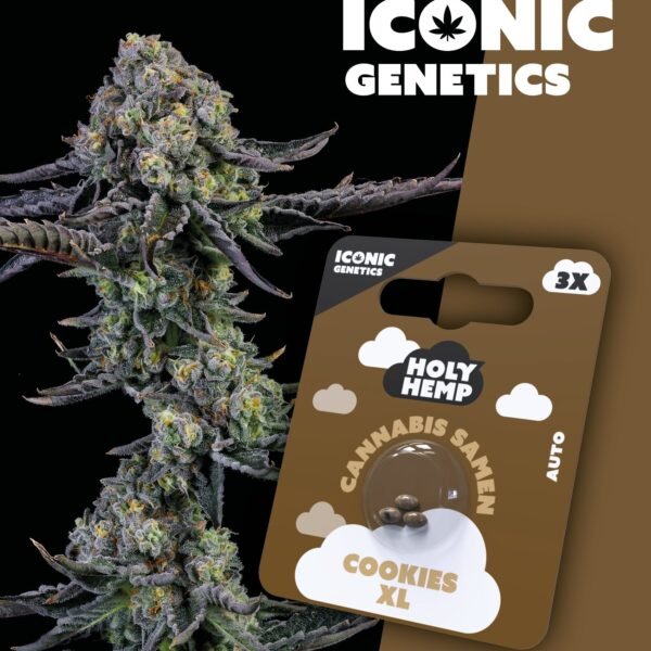 Cookies XL - Iconic Seeds