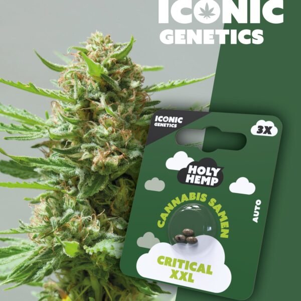 Critical XXL - Iconic Seeds