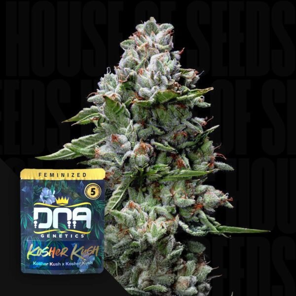 Skywalker Kush