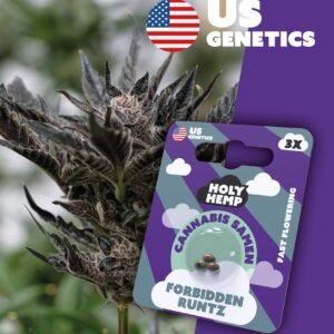 Forbidden Runtz - Cali Seeds