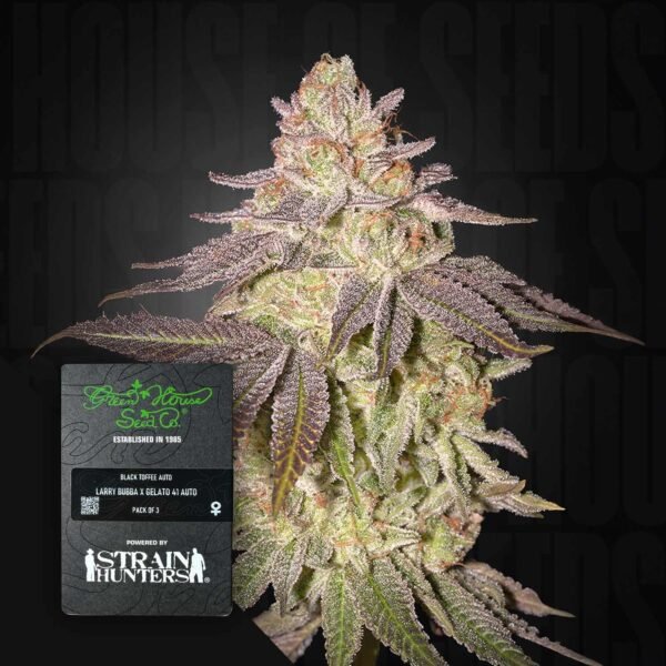 Black Toffee Auto