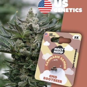 GMO Rootbeer - Cali Seeds