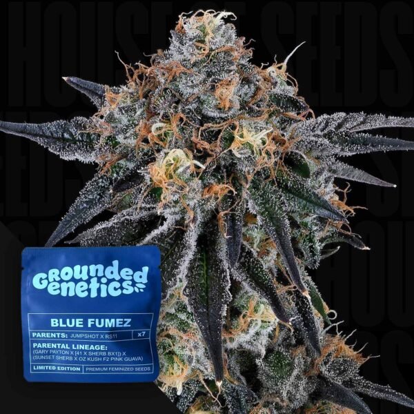 Blue Fumez