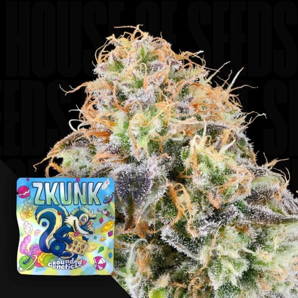 Zkunk