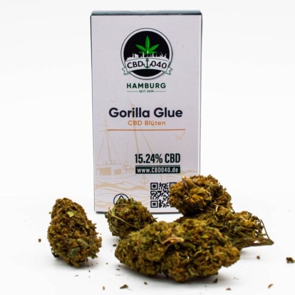 Gorilla Glue CBD Blüten Indoor