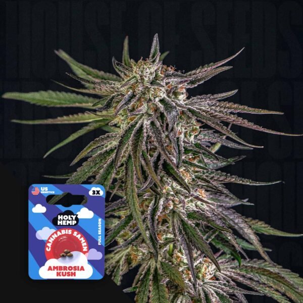 Ambrosia Kush