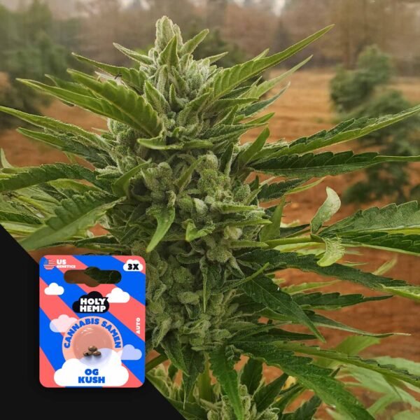 OG Kush
