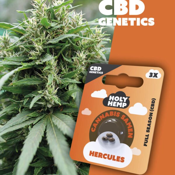 Hercules - CBD Genetics