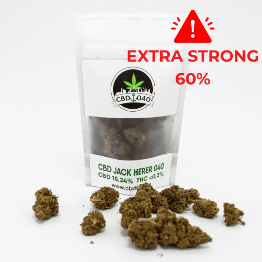 Jack Herer Extra Strong 60% - CBD Blüten - Indoor - Unsere stärkste CBD Sorte