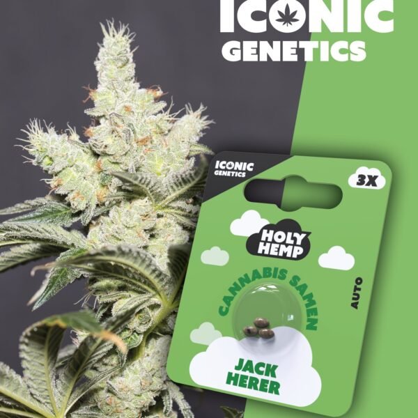 Jack Herer - Iconic Seeds