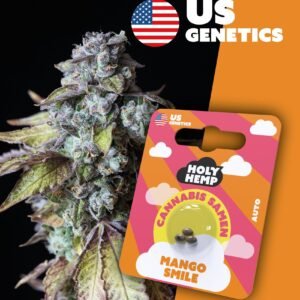 Mango Smile - Cali Seeds