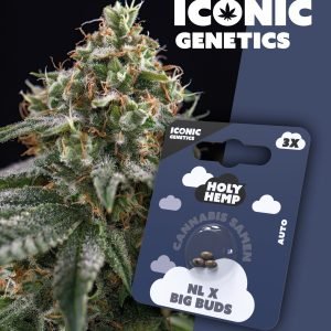 NL x Big Buds - Iconic Seeds