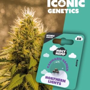 Northern Lights - Iconic Seeds