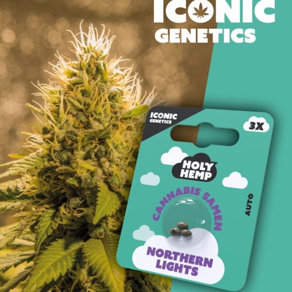 Northern Lights - Iconic Seeds