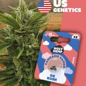 OG Kush - Cali Seeds