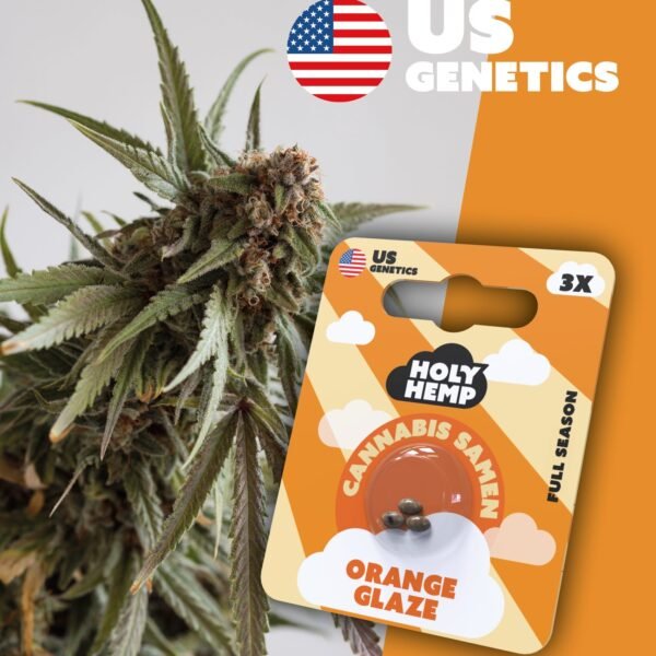 Orange Glaze - Cali Seeds