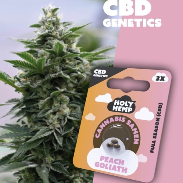 Peach Goliath - CBD Genetics