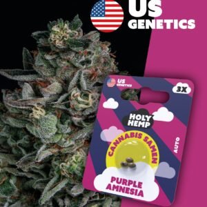 Purple Amnesia - Cali Seeds