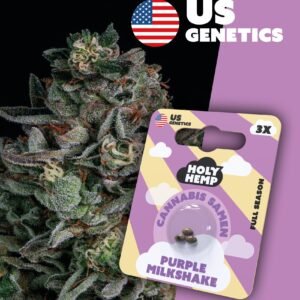 Purple Milkshake - Cali Seeds
