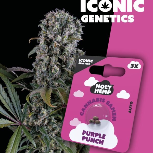 Purple Punch - Iconic Seeds