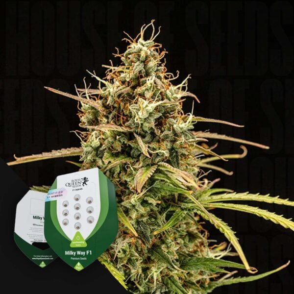 Milky Way F1 Auto