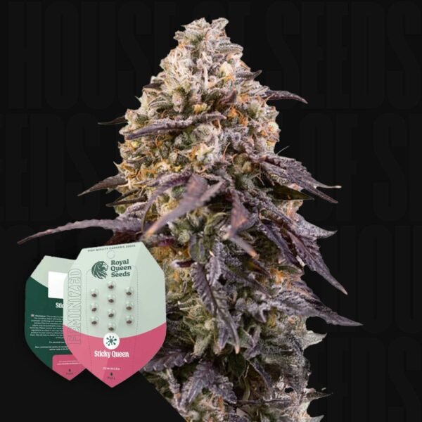Sticky Queeen