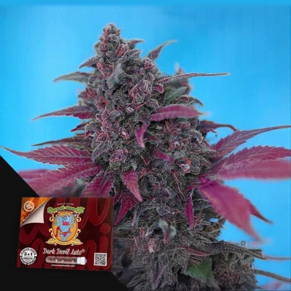 Dark Devil Auto