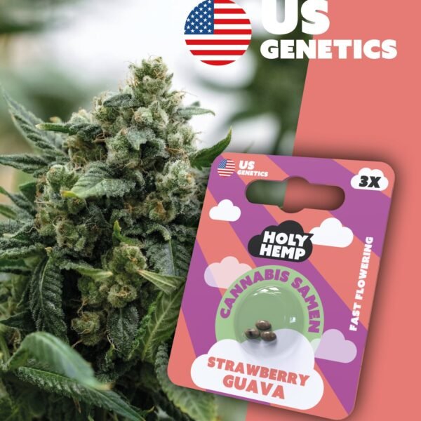 Strawberry Guava - Cali Seeds