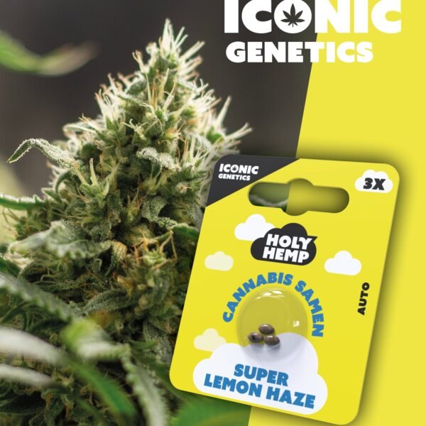 Super Lemon Haze - Iconic Seeds