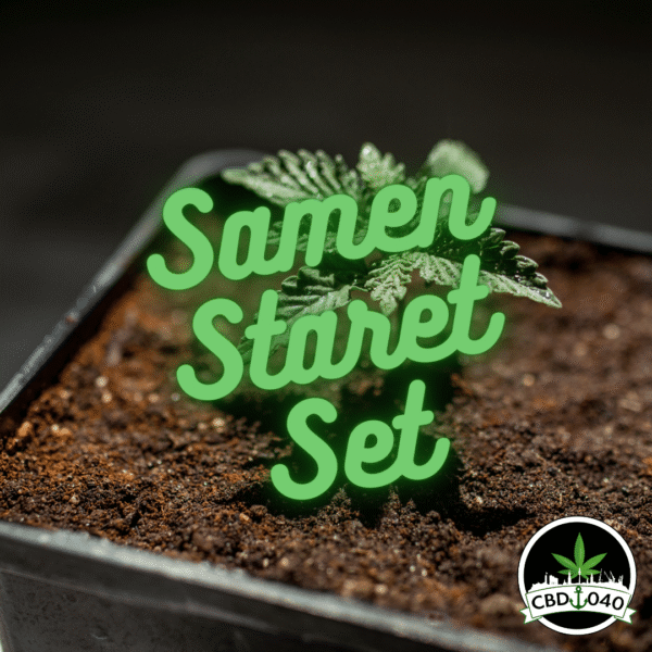 Samen Bundle Starter-Set für den Eigenanbau mit 5 Verschiedene Sorten - 11 Samen