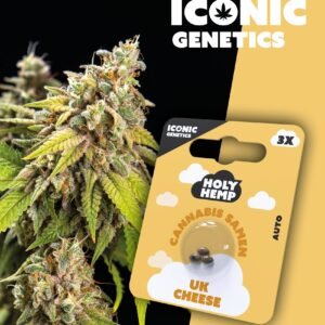 UK Cheese - Iconic Seeds