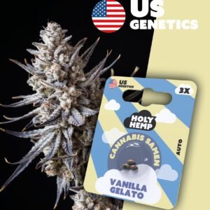 Vanilla Gelato - Cali Seeds