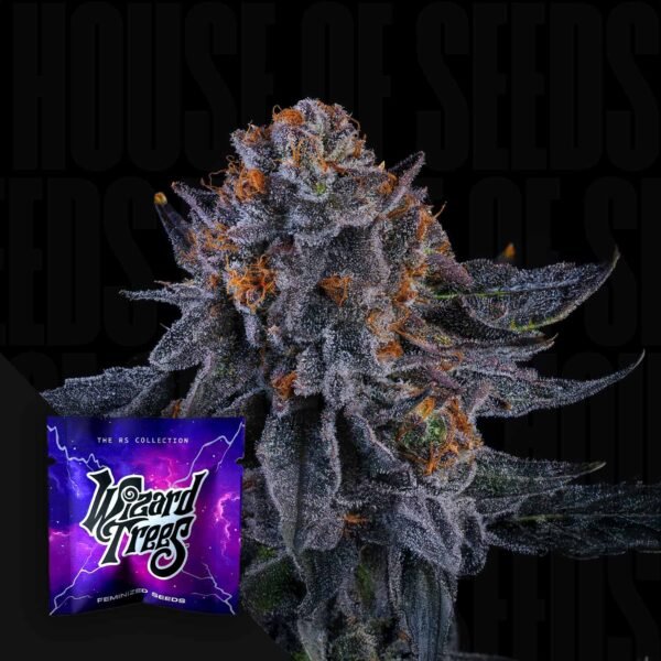 Wizard Fuel