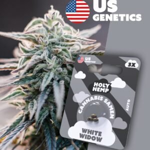 White Widow - Cali Seeds